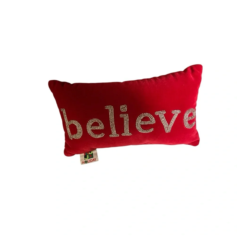 Devi Designs LLC Cotton Velvet and Silver Beads believe Pillow